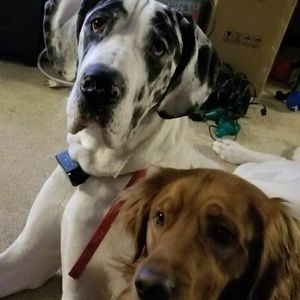 Make our mom an offer on something in her closet!!